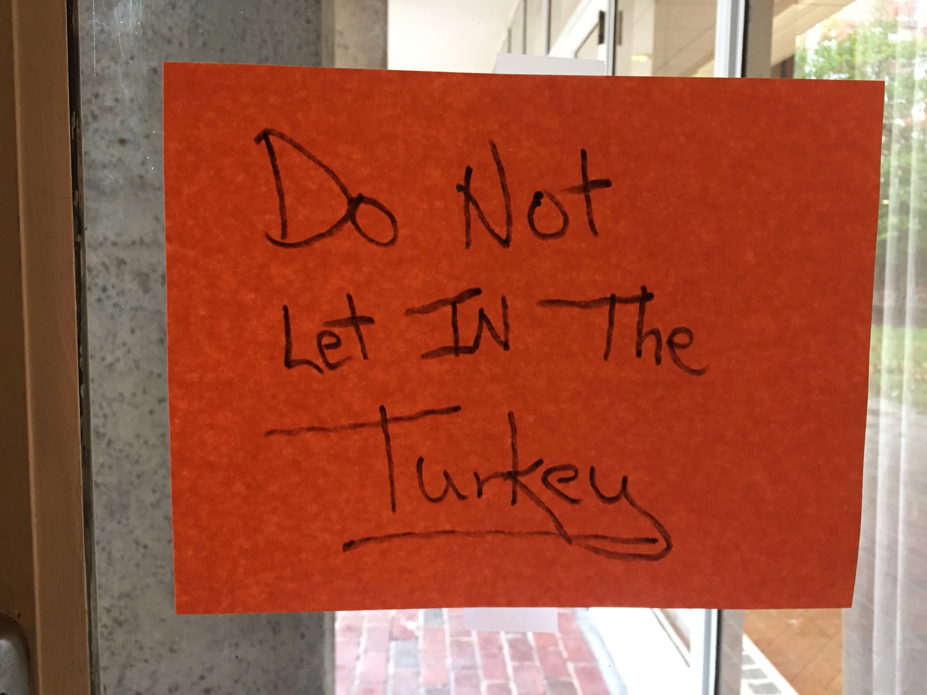 A sign on a door in Currier House imploring students to not let any of the turkeys in. 