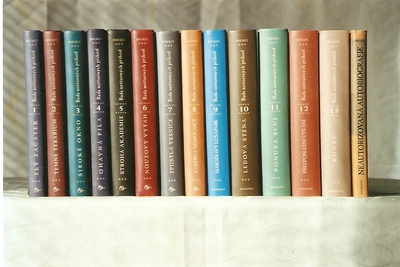 Cover image for Love It or Hate It: A Series of Unfortunate Events