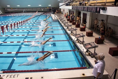 Cover image for Harvard's Head Diving Coach Resigns Following Allegations of Sexual Misconduct