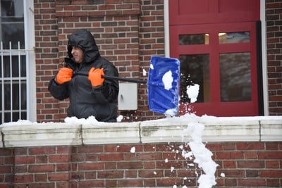 Cover image for Snows Out, Shovels Out