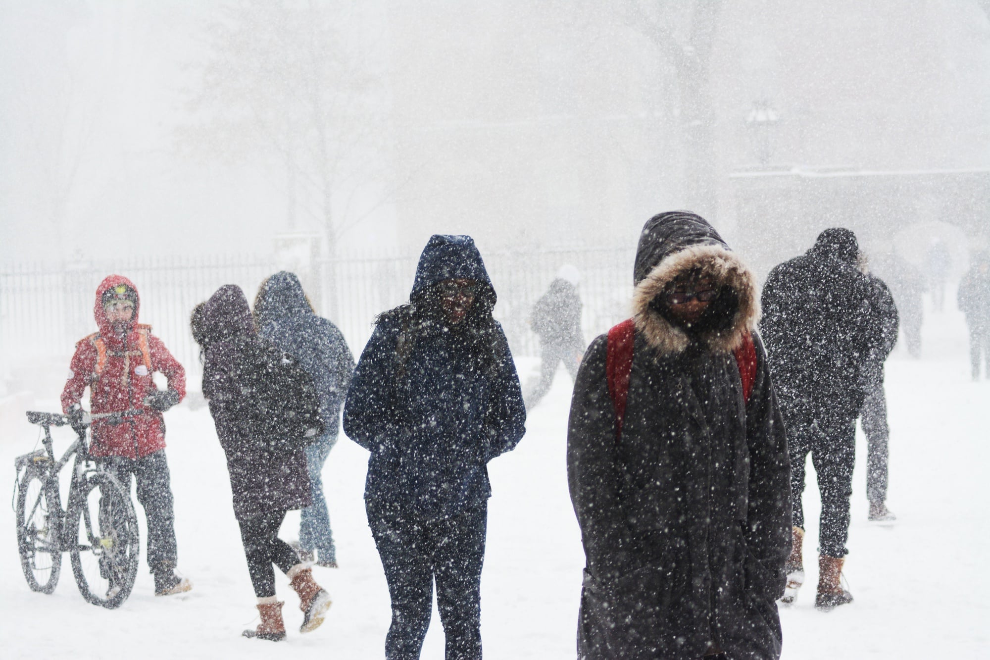 Despite freezing temperatures, gusty winds, and more than a foot of snow, students bundled up and headed to class on Thursday.