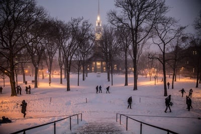 Cover image for Snow