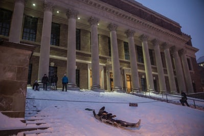 Cover image for Sledding