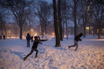 Cover image for Snowballs