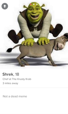 Cover image for tinder shrek