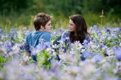 Cover image for Twilight: Edward and Bella