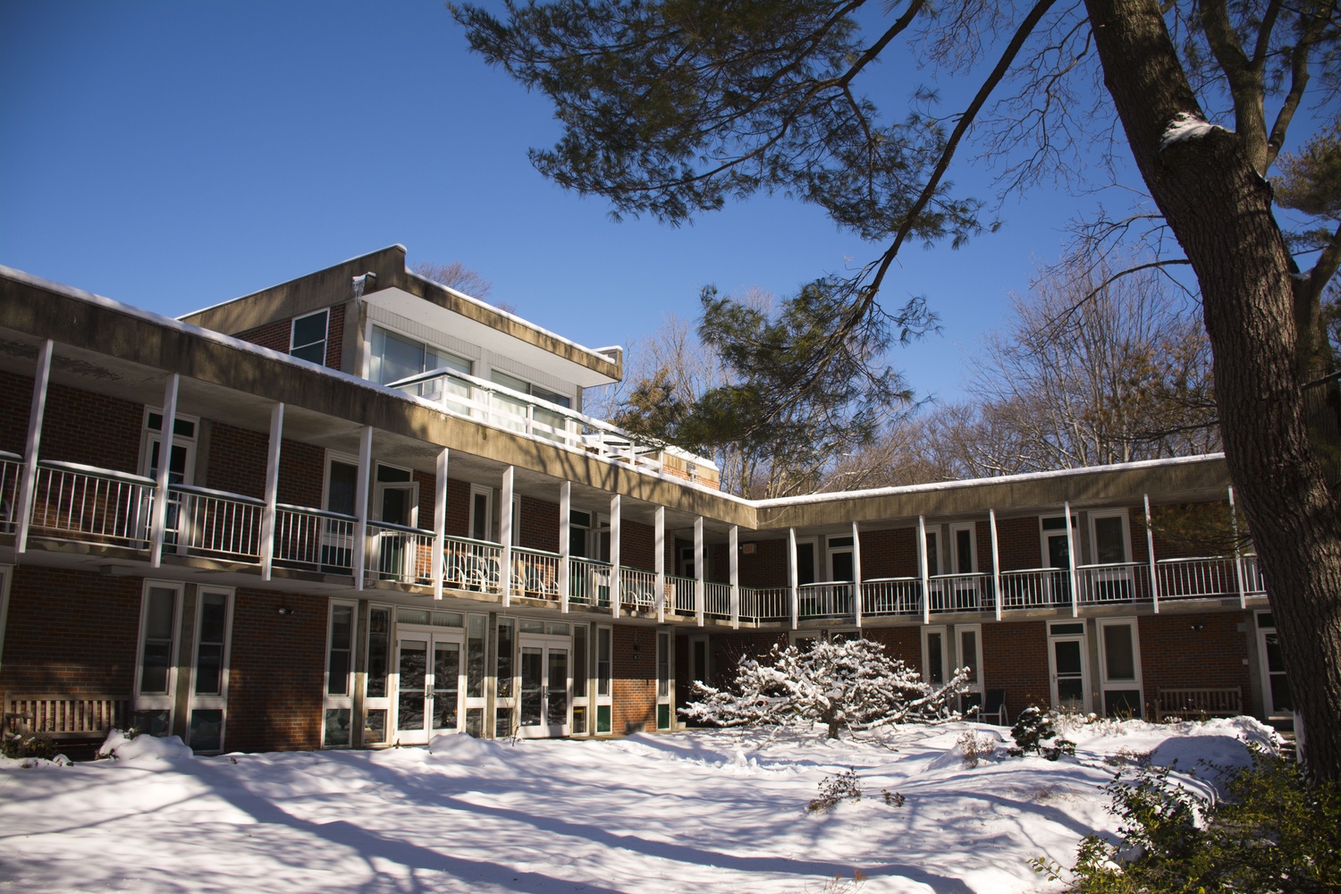 The courtyard of the Center for the Study of World Religions on a sunny winter day. 