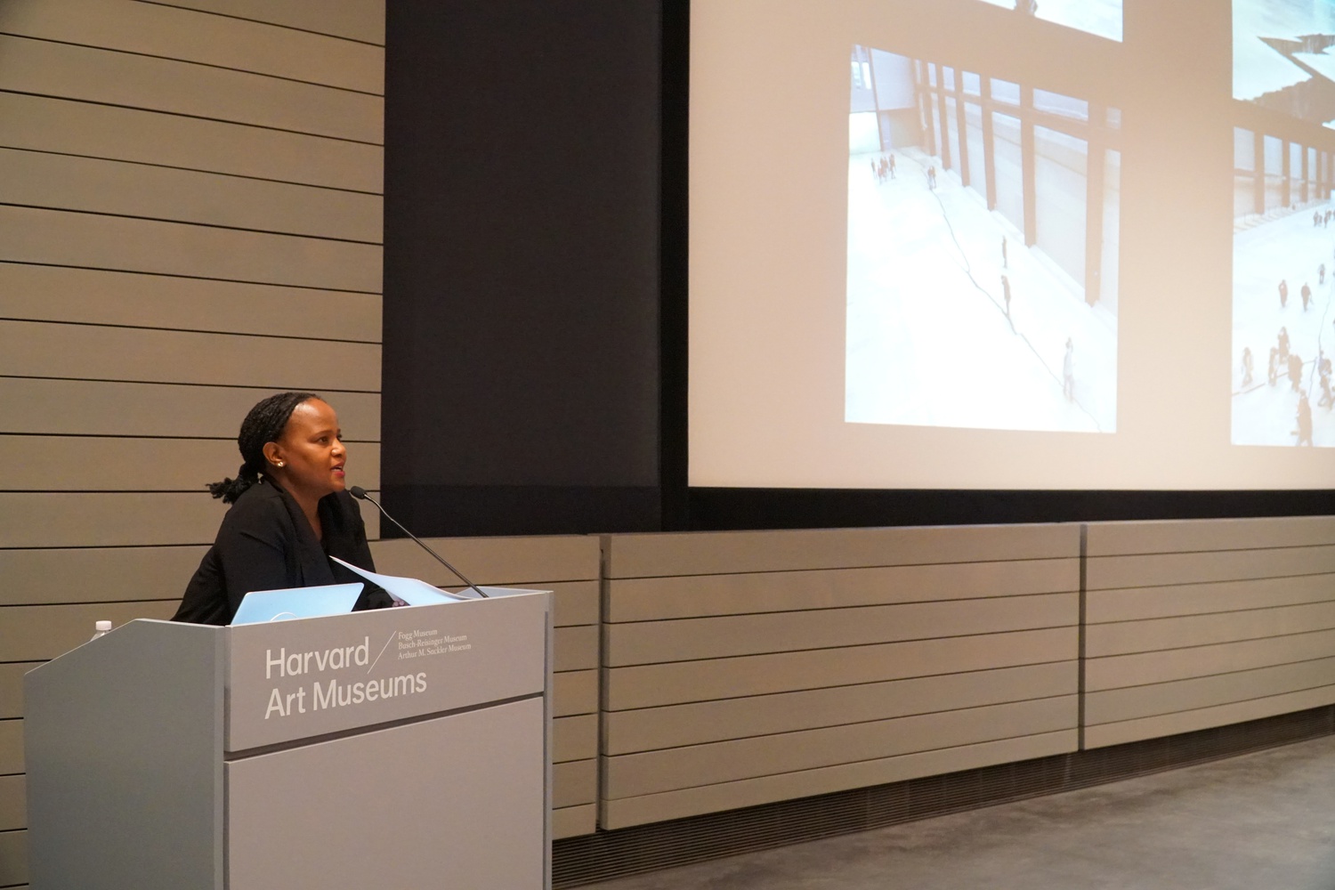 Edwidge Danticat, a Haitian–American novelist, had a public lecture Tuesday's night to respond to the Harvard Art Museums’ current special exhibition, "Doris Salcedo: The Materiality of Mourning."