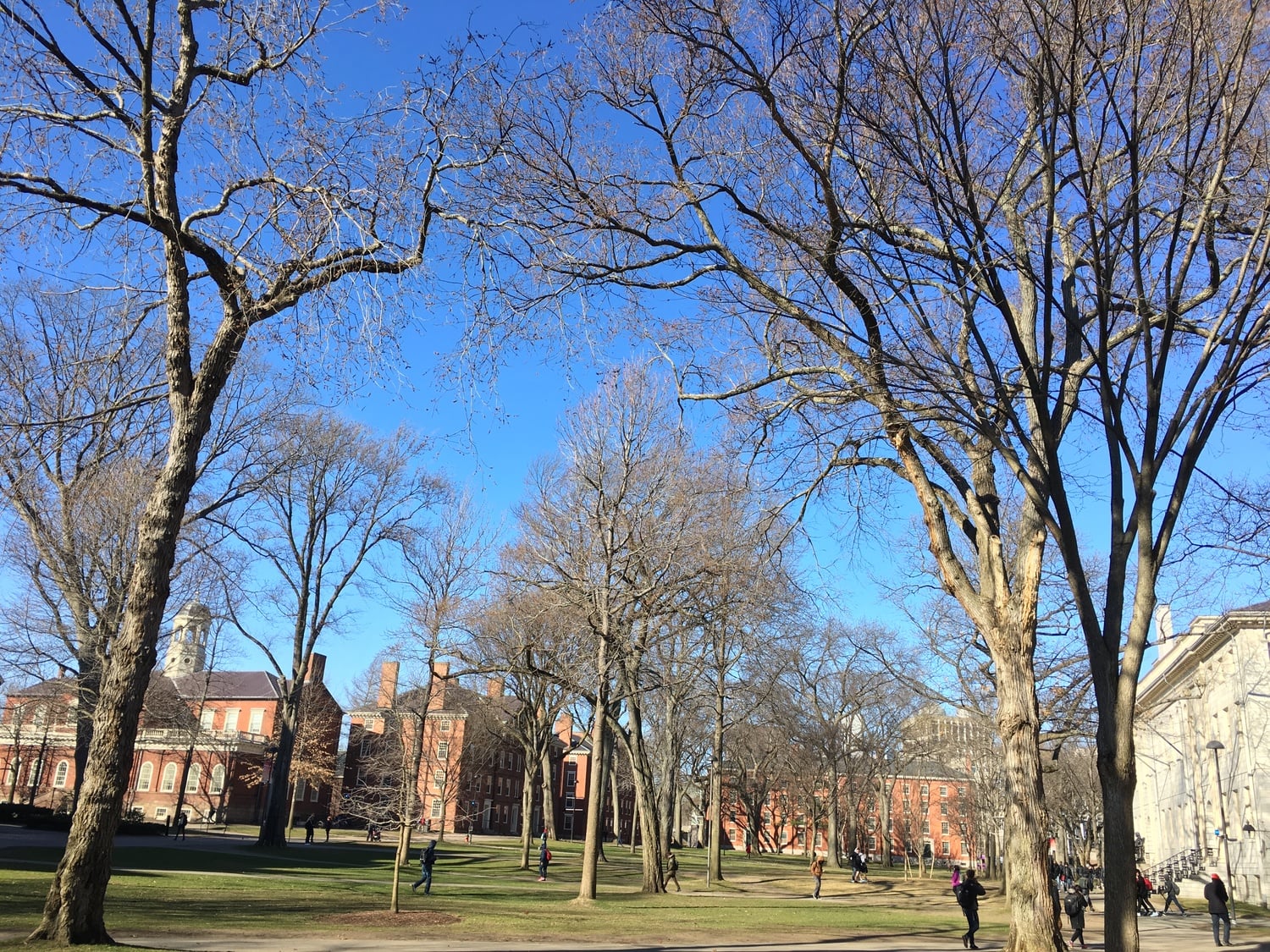 If this isn't good frolicking weather, we don't know what is.