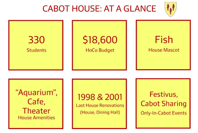 Cover image for Cabot At A Glance