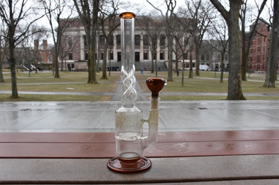Cover image for Bong and Widener