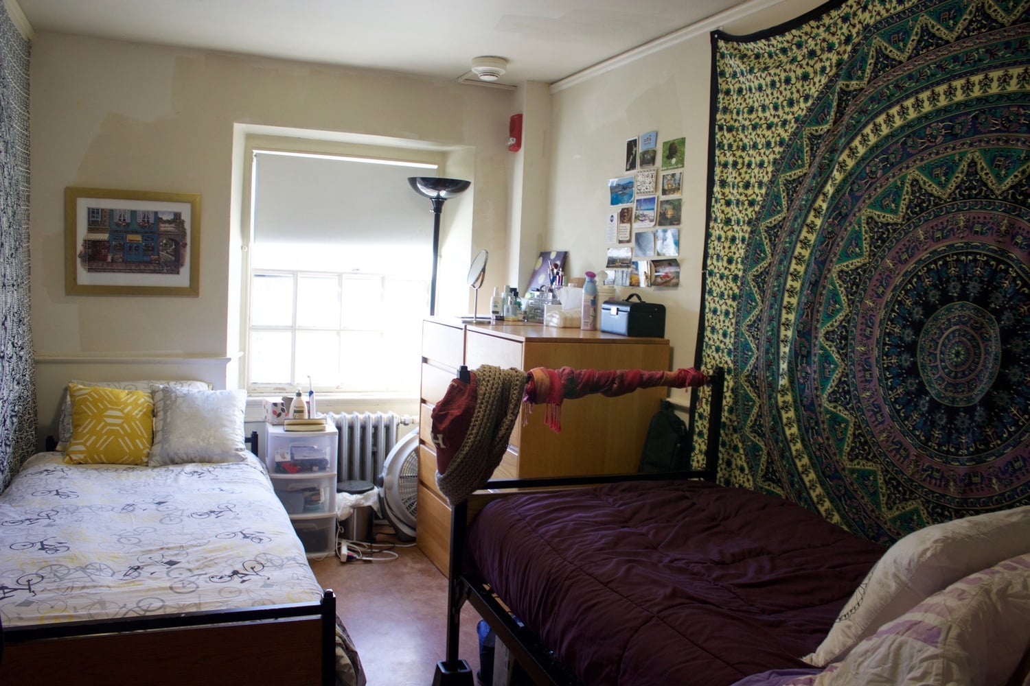 A sophomore bedroom in Eliot