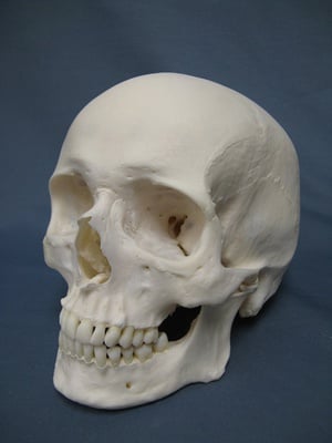 Cover image for The Murder of Dr. George Parkman