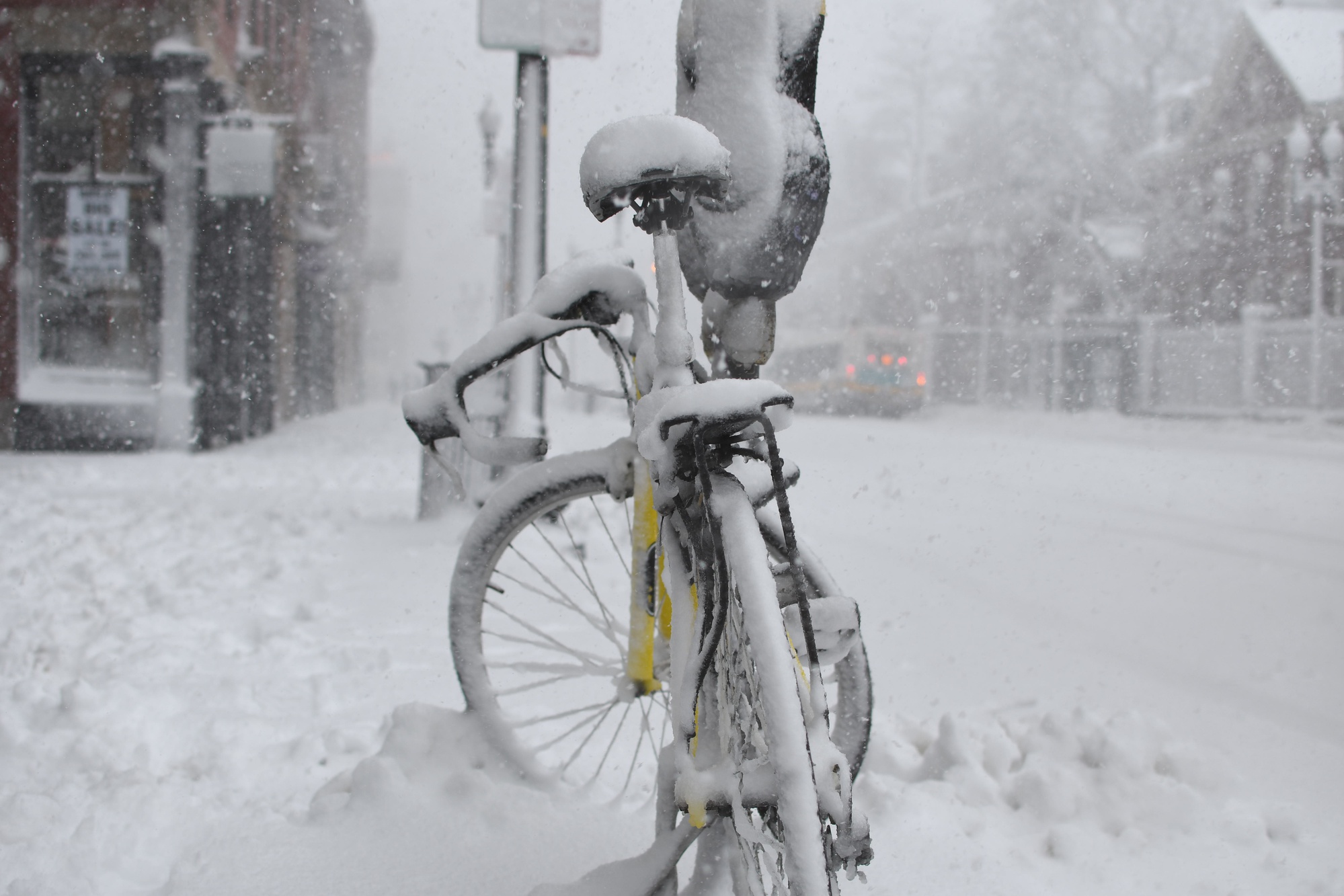 A bicycle sits locked to a pole on Massachusetts Avenue, weathering the snow storm that closed the university on Tuesday.
