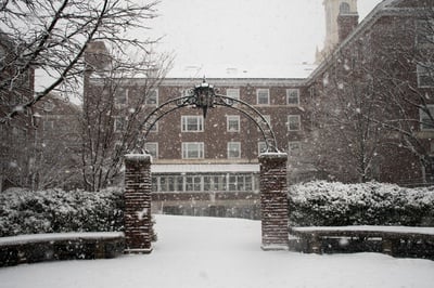 Cover image for Pfrosty Pfoho