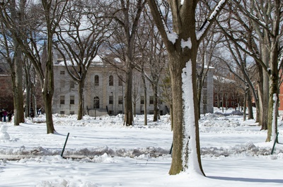Cover image for Tercentenary Thaws