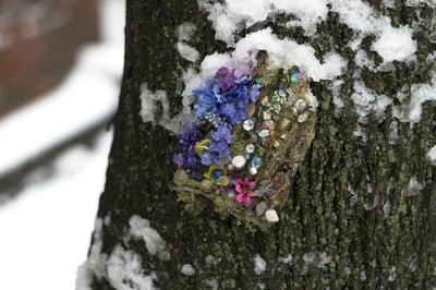 Cover image for Quincy Fairy Door