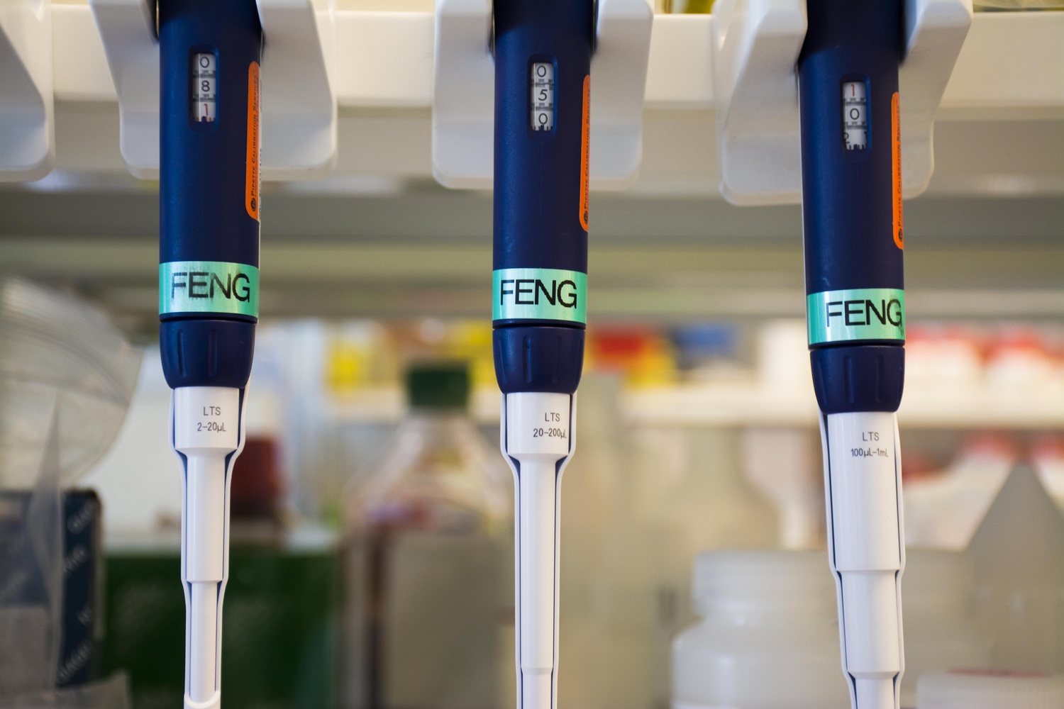 Dr. Zhang's pipettes hang on a shelf above his lab bench. With a nearly two-year-old daughter at home, Zhang now spends less time in the lab. 