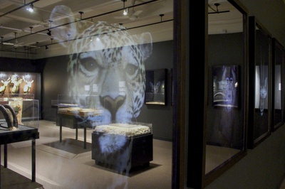 Cover image for Next of Kin: Seeing Extinction Through An Artist’s Lens
