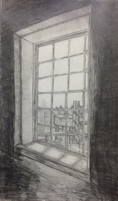 Cover image for A View from the Window