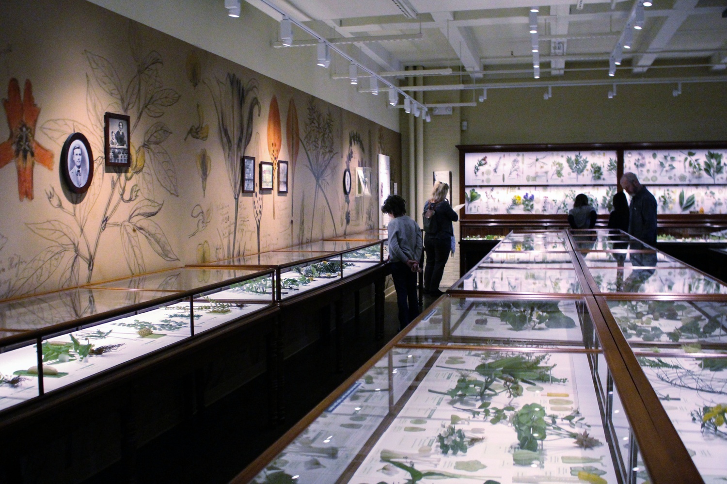 A family studies some of the glass models of plants at the Glass Flowers Exhibition at the Harvard Museum of Natural History. 
