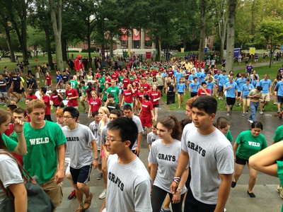 Cover image for Freshman Shirts 