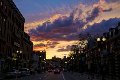 Cover image for Hey Professor: What Was Your Harvard Nightlife Like?