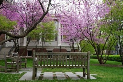 Cover image for Love it/Hate it: Spring