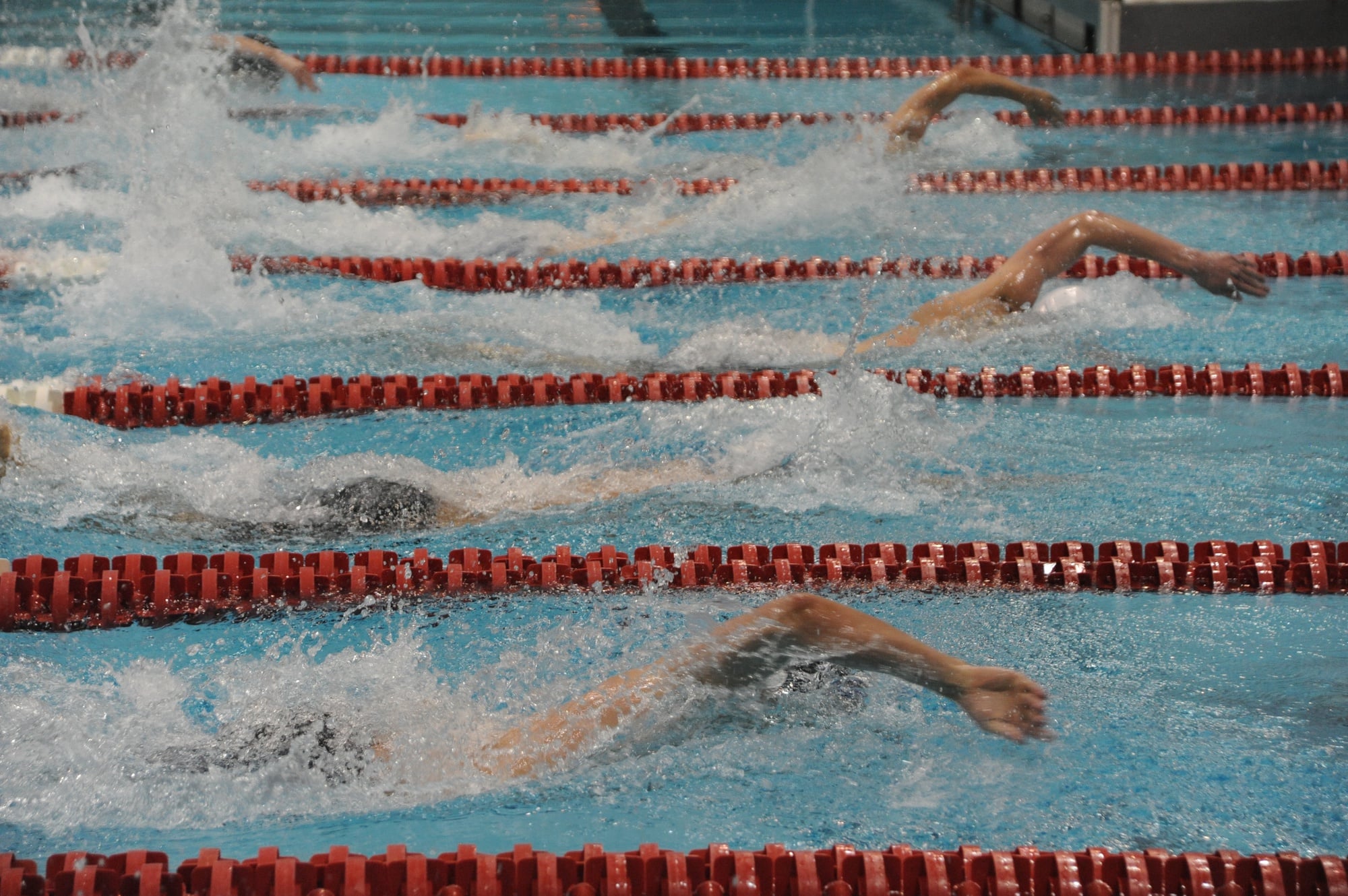 Ancient Eight competitors swim to the finish at February's Ivy League Championships.
