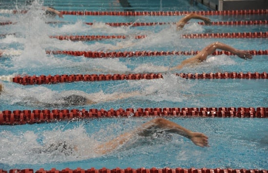 Adult Swim