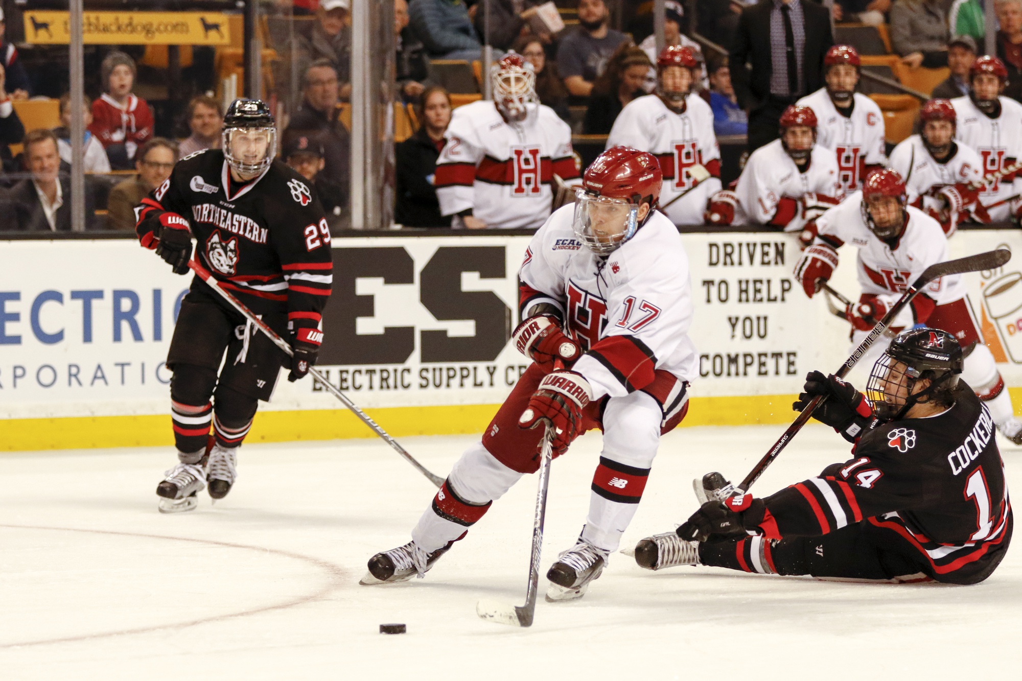 Senior forward Sean Malone weaves his way through the Northeastern defense during the men's hockey team's Beanpot semifinal against Northeastern.