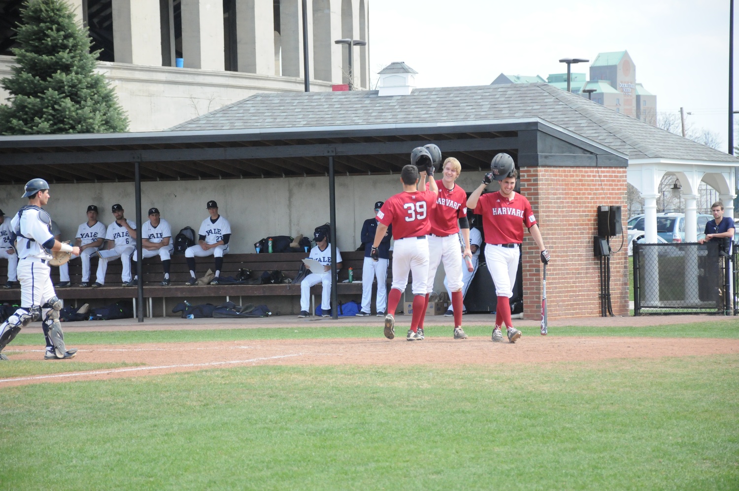 Sophomore outfielder P.J. Robinson celebrates after hitting a home run against Yale.