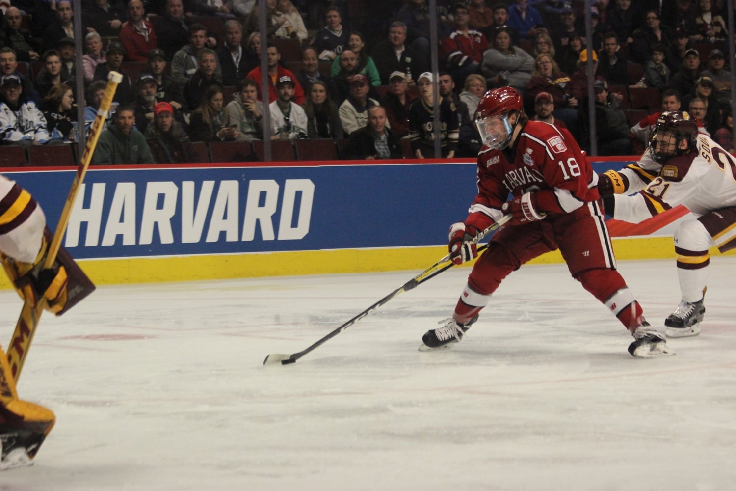 Playing in the Frozen Four, rookie defenseman Adam Fox speeds toward the goal.