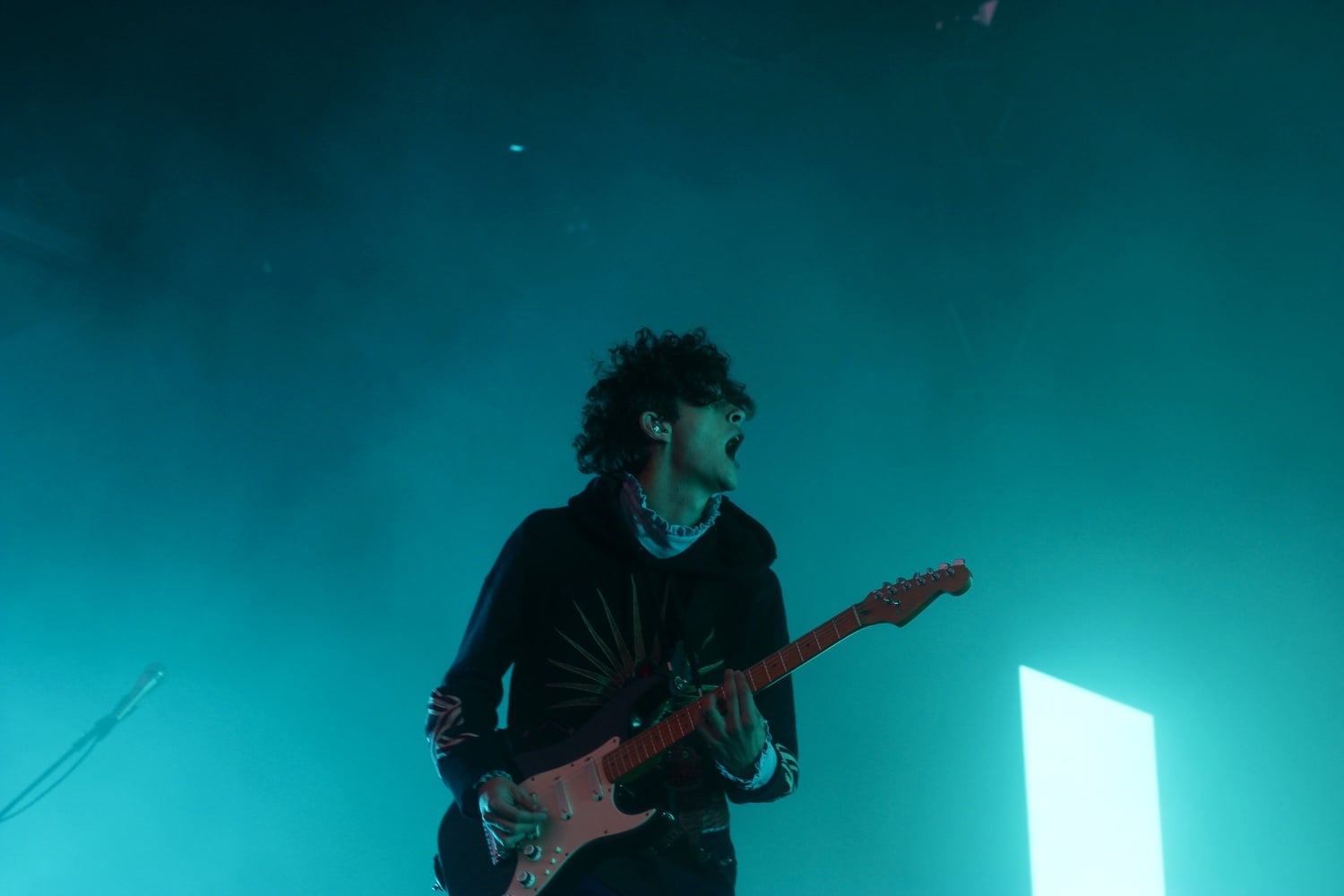 The 1975 in concert in 2017.