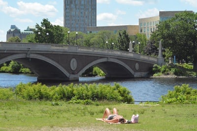 Cover image for What To Do This Summer: Paddling, Pools, and Picnics