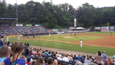 Cover image for The Local Baseball Team