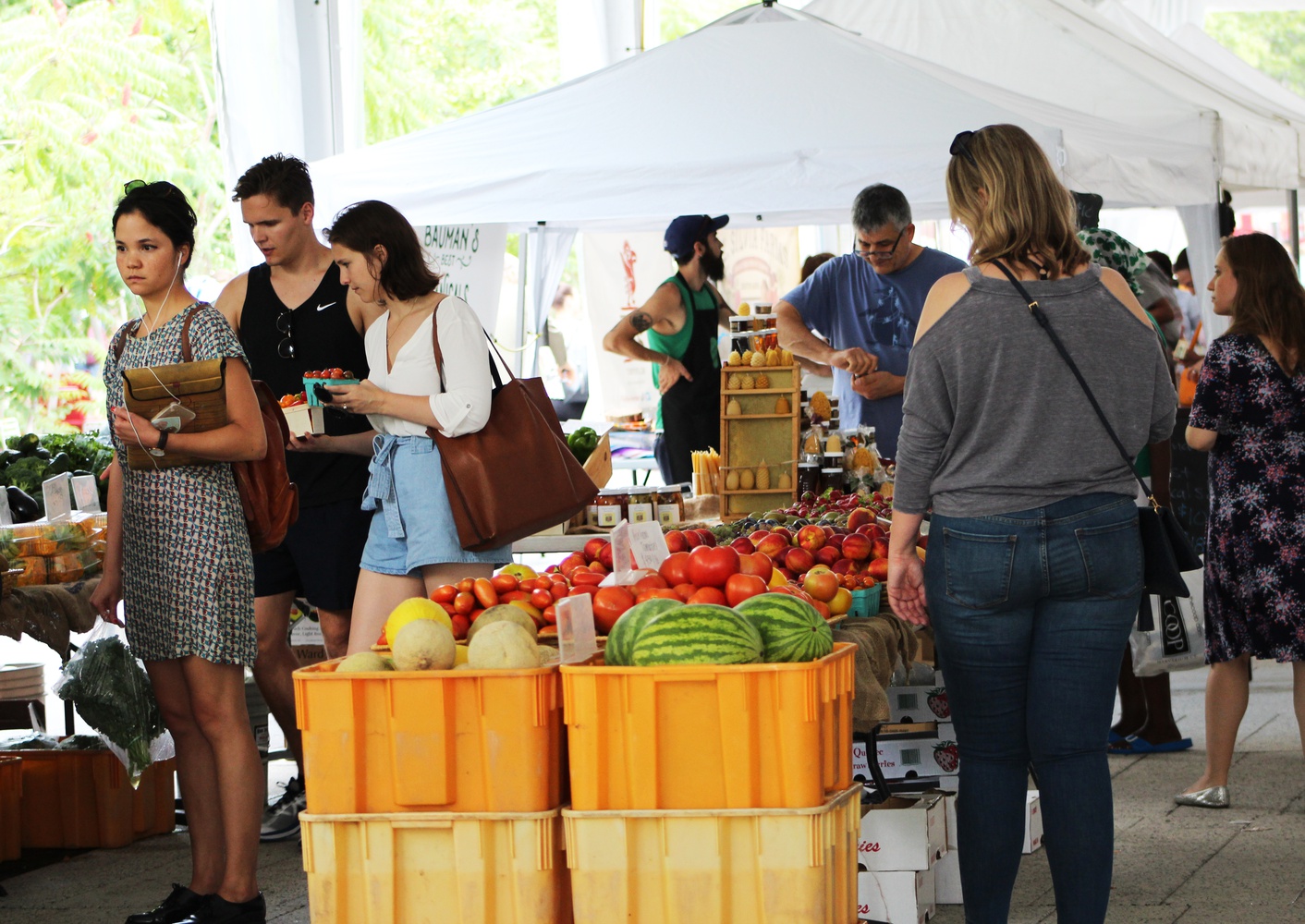 People browse stands of fruits and vegetables at the Harvard Farmer’s Market held on the Science Center Plaza on Tuesday.
