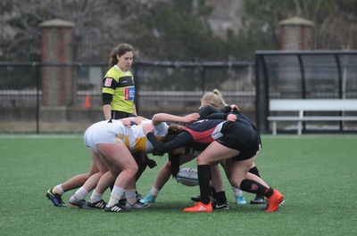 Cover image for Women's Rugby Shuts Out West Chester in Season Opener