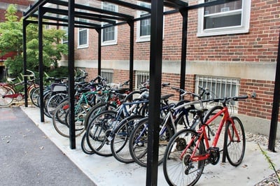 Cover image for bike theft