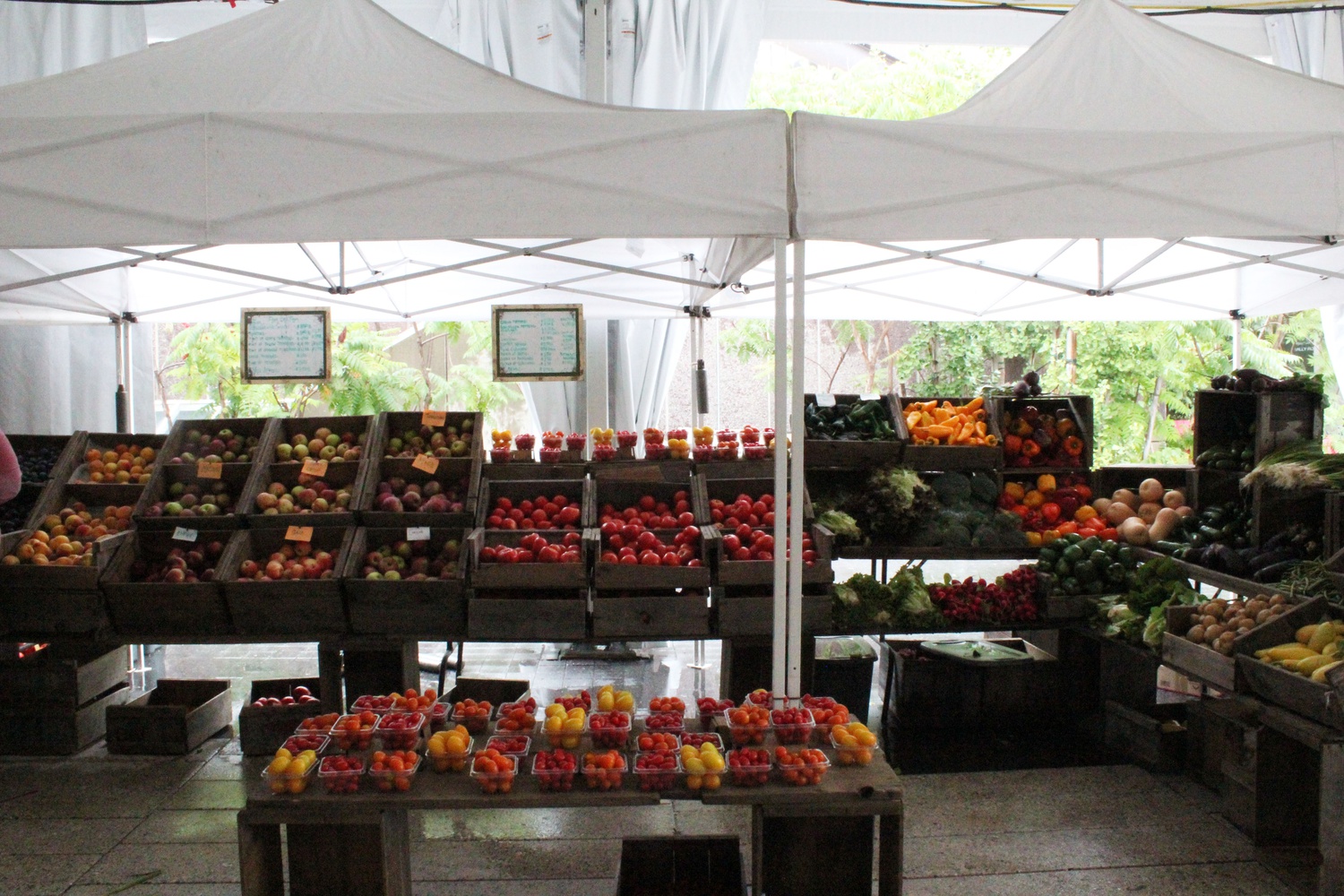 The Farmer’s Market in the Science Center Plaza sells fresh fruits and vegetables.