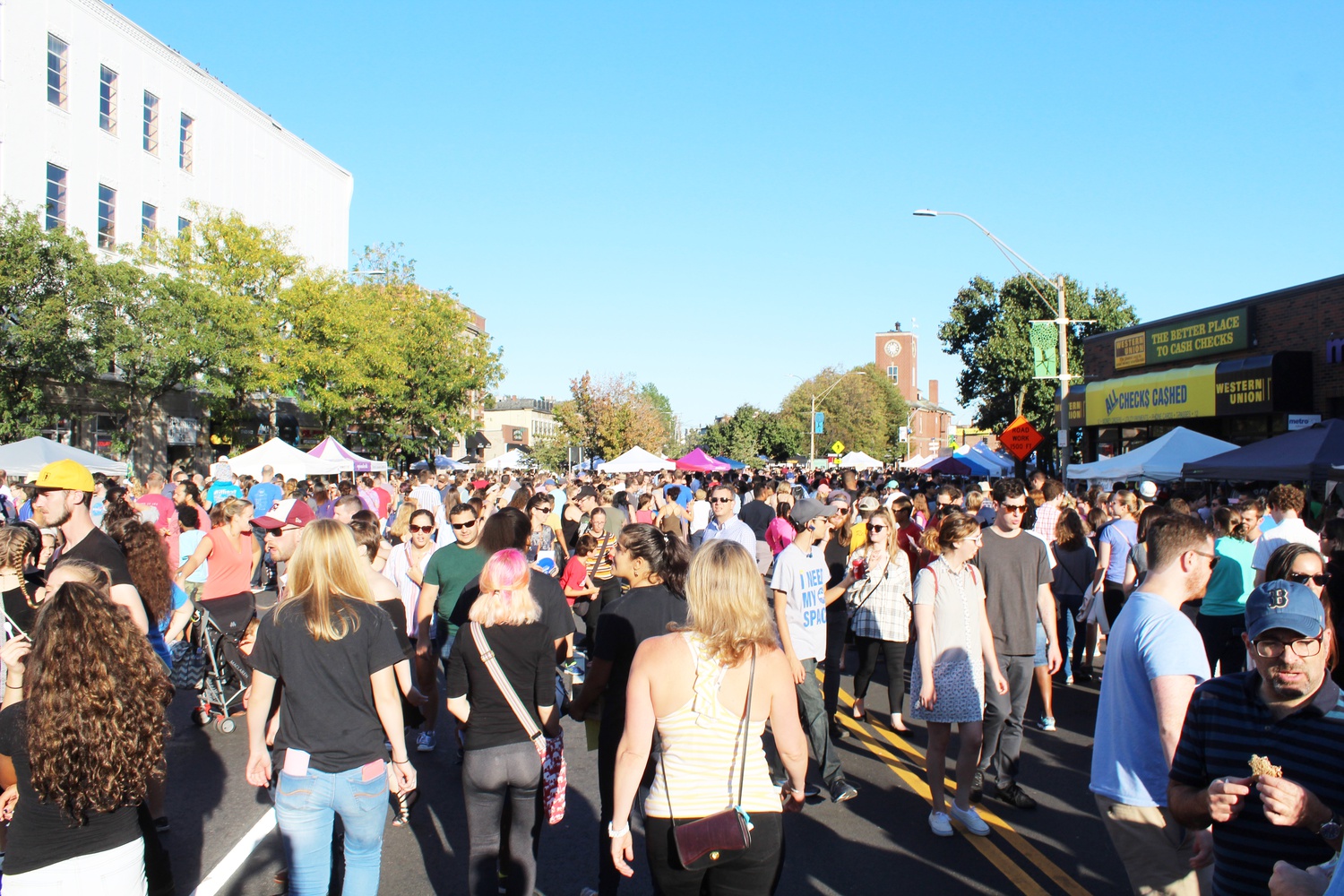 Fluff Festival | News | The Harvard Crimson