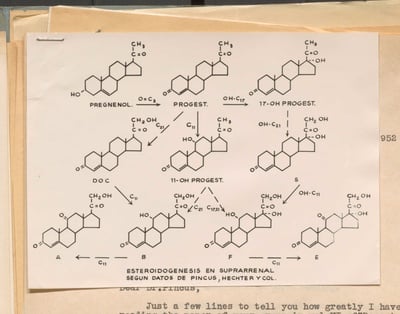 Cover image for Chemical Compounds