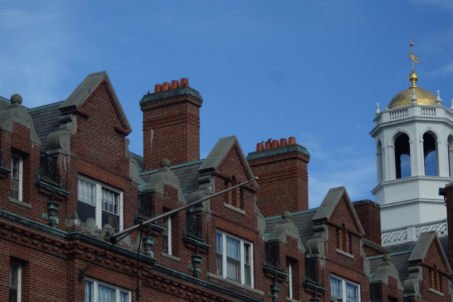 Adams House is set for renovations after construction is finished on Lowell House.