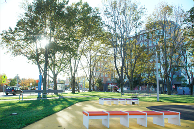 Cover image for  Allstonians Review Impact of Harvard 'Flexible Fund'