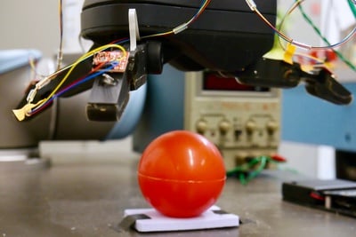 Cover image for Robo-Roaming at the Harvard Biorobotics Lab