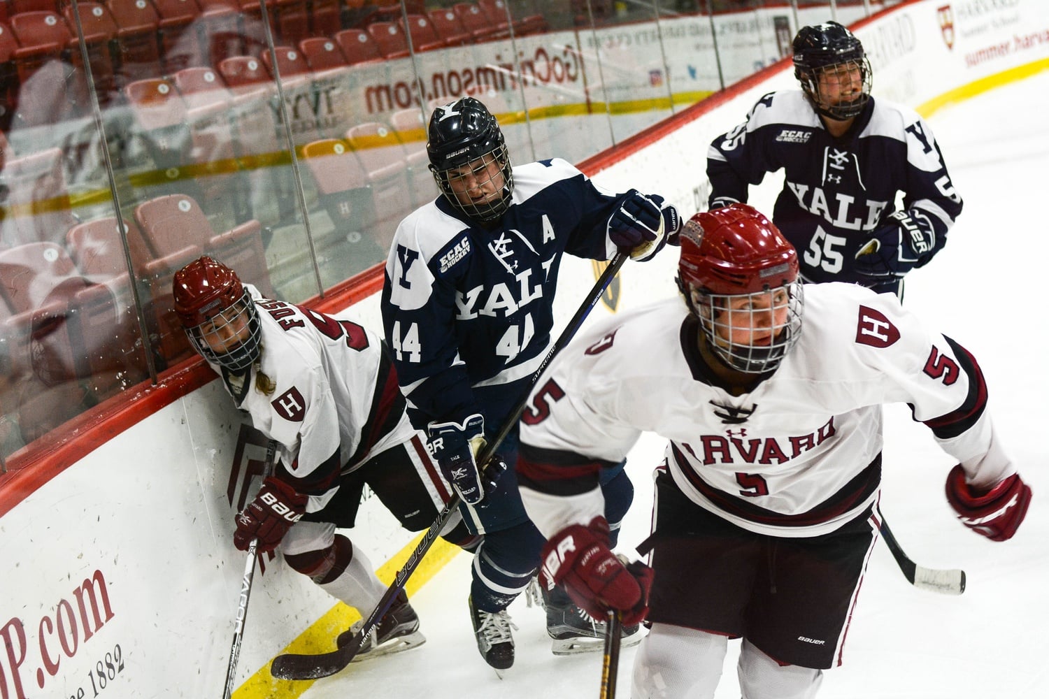 Sophomore blue-liner Kyra Colbert and junior forward Bradley Fusco rescue the puck in the defensive zone in last February's home matchup with Yale.