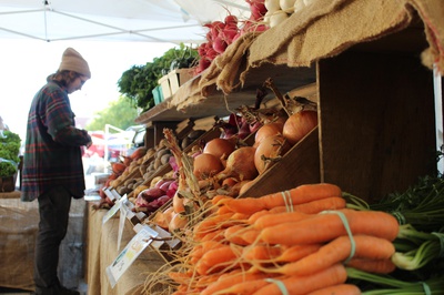 Cover image for Farm to Harvard
