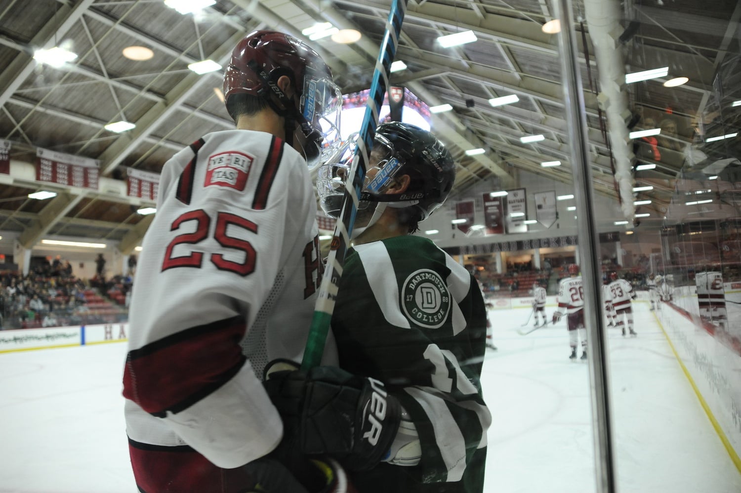 Senior defenseman Wiley Sherman gets into some post-whistle roughhousing with Dartmouth forward Corey Kalk. Sherman's physical presence will stabilize the blue line this year for the Crimson.