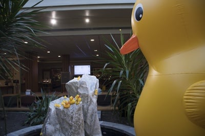 Cover image for Giant Currier Duck