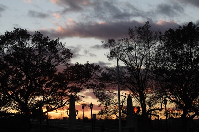 Cover image for Sunset over the Charles